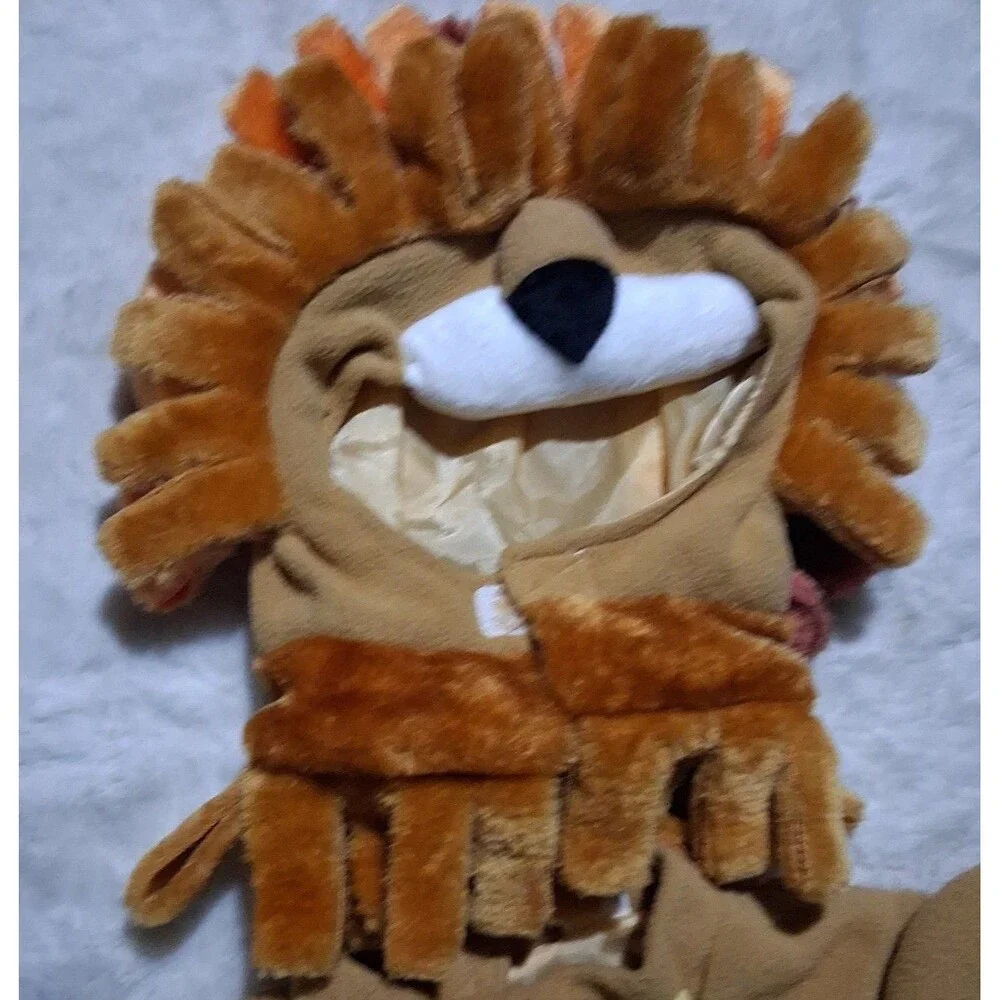 N/A lion costume